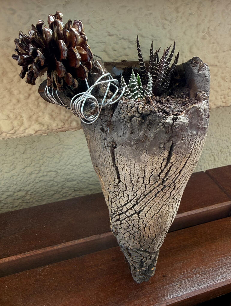A unique rustic wood planter with succulents, featuring natural textures, a hollowed wooden form and a decorative pine cone wrapped with metal wire. This organic piece blends forest elements with modern handmade design, perfect for lovers of natural decor,