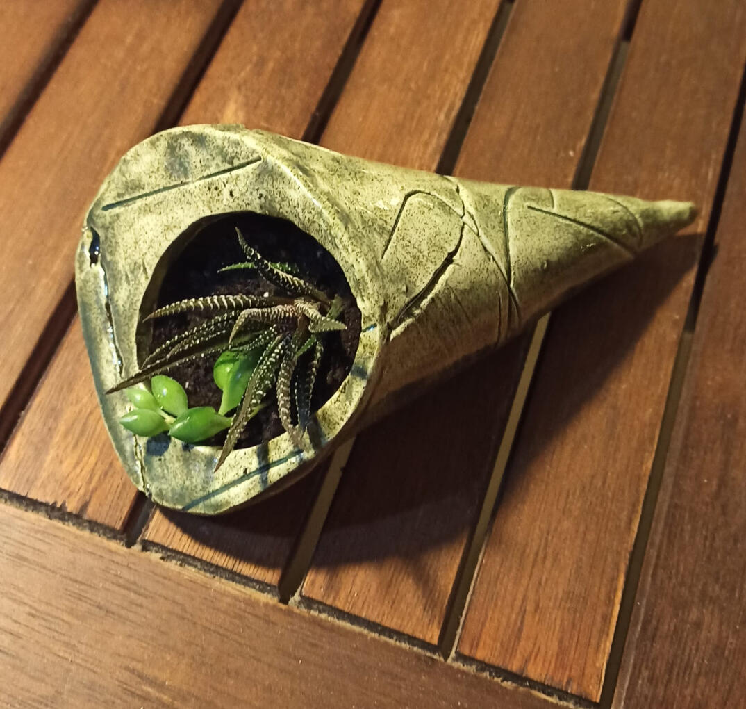 Handmade Textured Succulent Planter in Organic Cone Shape